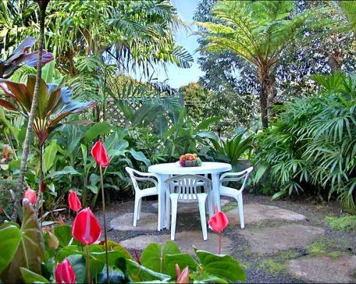 Sample Full Page Advert haleolalani patio 500x400 Sample Full Page Advert