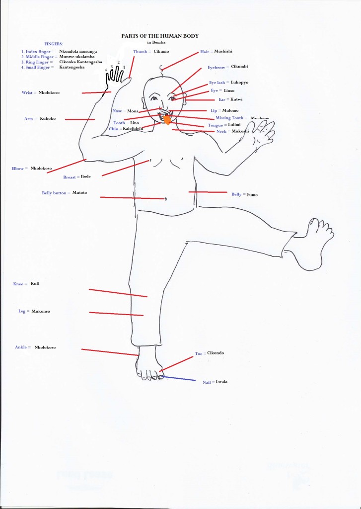 Body parts in Bemba