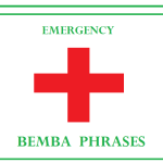 Emergency Bemba Phrases