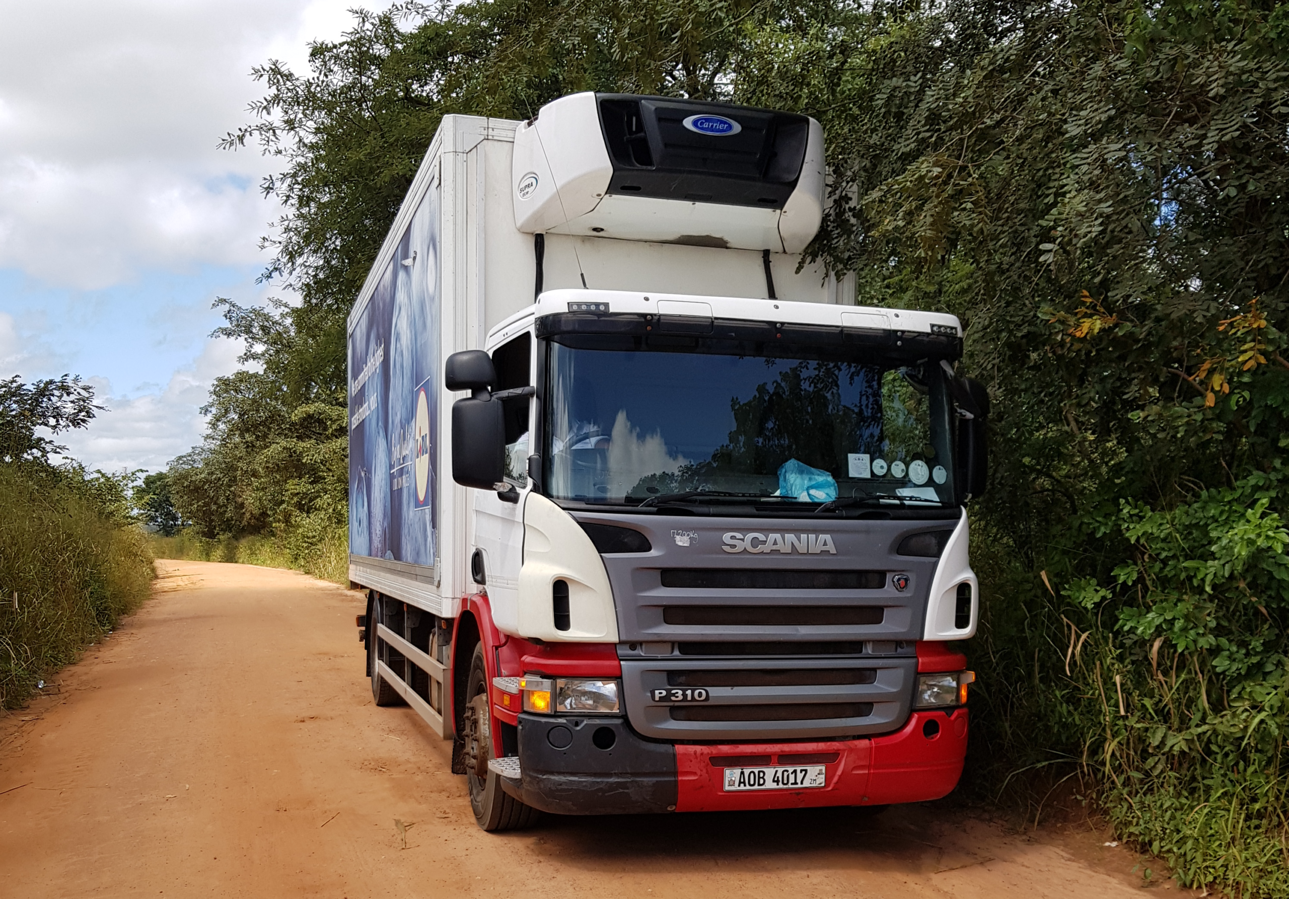 Scania P310 Refrigerated box Truck